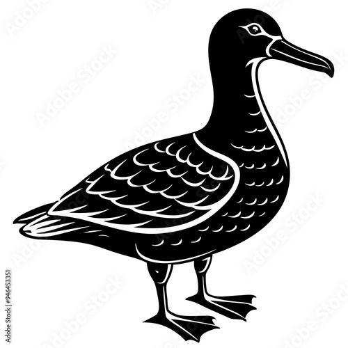 Albatross Silhouette Black Vector Design