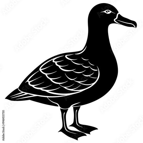 Albatross Silhouette Black Vector Design