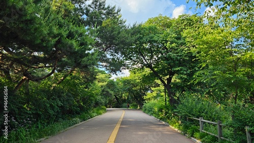Photography 남산 산책로, 서울