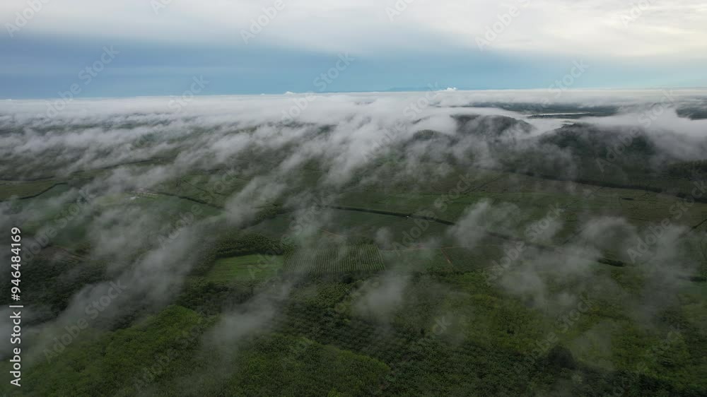 View of clouds, fog and lush green forest in the bright rainy season with the natural beauty of Thailand, Asia.