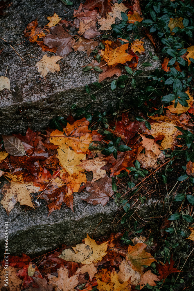 Autumn Leaves on Stone Steps Autumn Leaves on Stone Steps