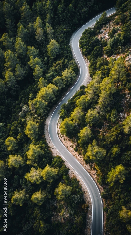 Scenic Curvy Mountain Road Amid Pine Forest - Adventure and Exploration Scenic Curvy Mountain Road Amid Pine Forest - Adventure and Exploration