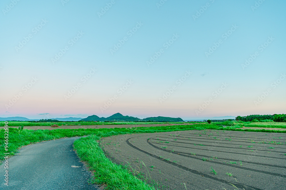 Fototapeta premium 鹿児島 指宿市 田舎道