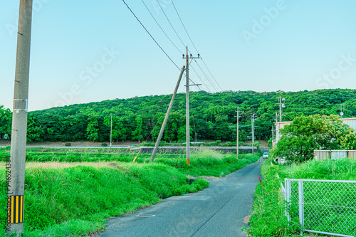 鹿児島　指宿市　田舎道 photo