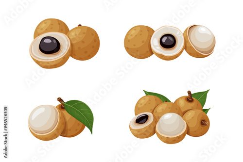 Summer tropical fruits for healthy lifestyle. Longan fruit. Vector illustration cartoon flat icon isolated on white.