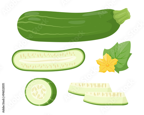 Set of green Zucchini vegetable icons. Whole and cut zucchini, leaf, flower and slices. Farm zucchini plant icon. Organic garden vegetarian food. Vector illustration isolated on white background.
