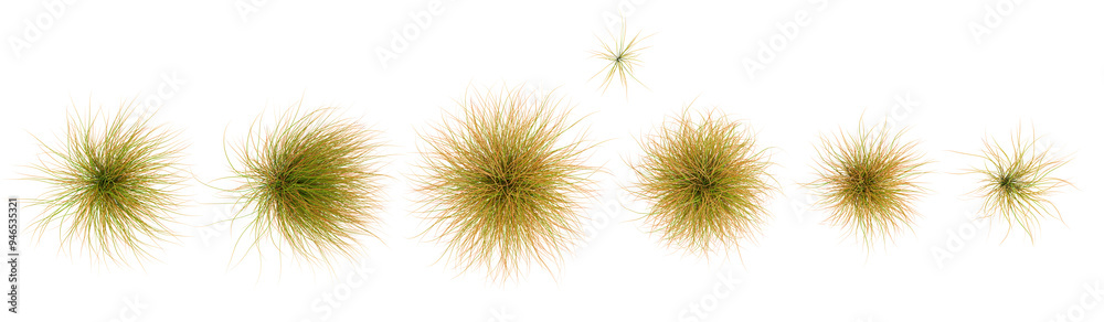 Εκτύπωση καμβά New zealand hair sedge trees shape top view cut out transparent backgrounds 3d r