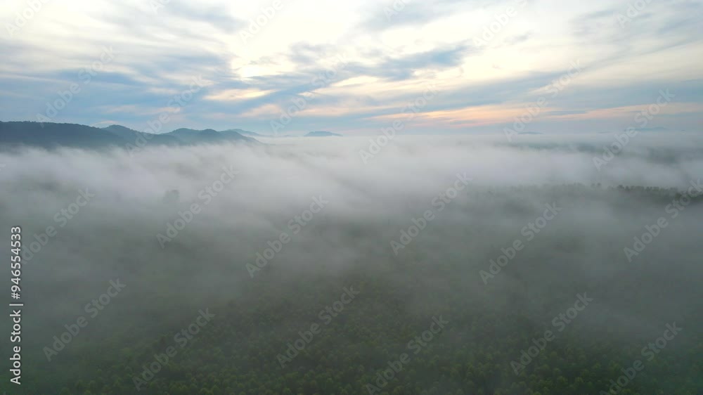 View of clouds, fog and lush green forest in the bright rainy season with the natural beauty of Thailand, Asia.