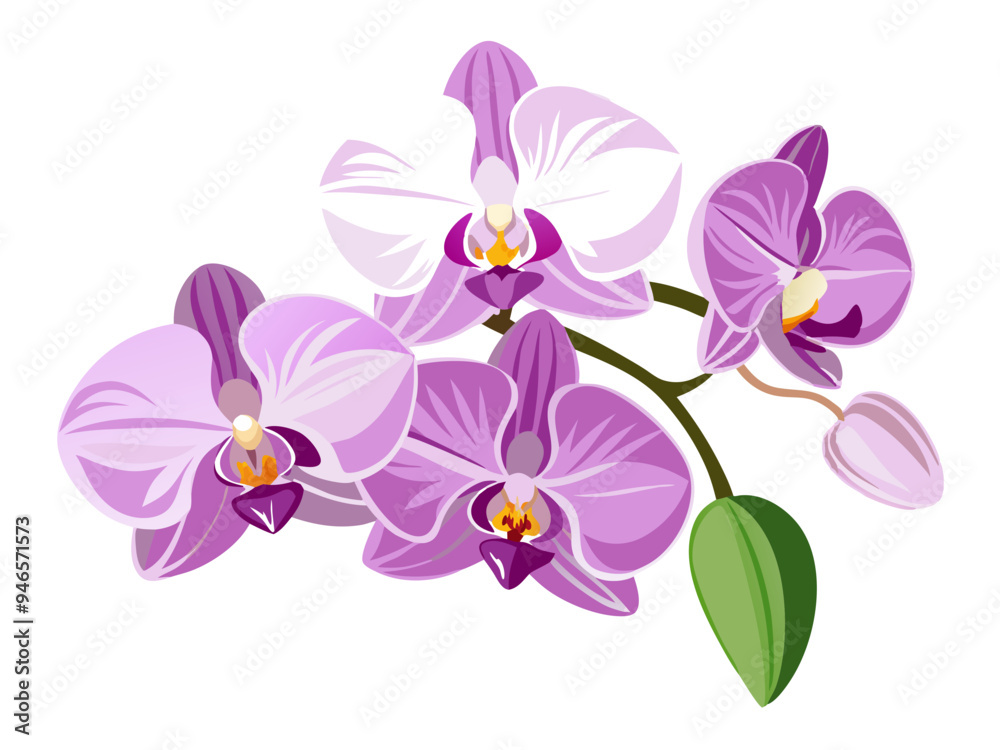 Elegant Pink Orchid Illustration with Lush Green Leaves - A detailed illustration of a pink orchid with lush green leaves. Perfect for botanical designs, nature themes, and floral art enthusiasts. Elegant Pink Orchid Illustration with Lush Green Leaves - A detailed illustration of a pink orchid with lush green leaves. Perfect for botanical designs, nature themes, and floral art enthusiasts.