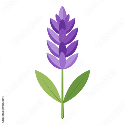 Illustration of Fresh Lavender Stems with Purple Blooms - illustration of lavender stems with vibrant purple flowers and green leaves. Perfect for botanical projects, aromatherapy, and nature themes.