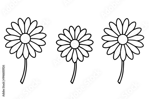 set of daisy flower line art on white background