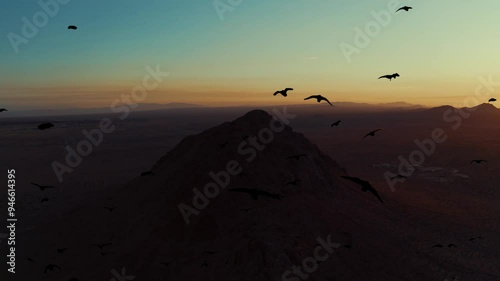 Golden Dunes and Soaring Birds, A Sunset Drone Journey Over the Desert