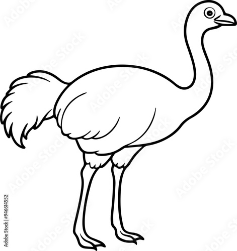 illustration of a ostrich vector illustration, line art, outline