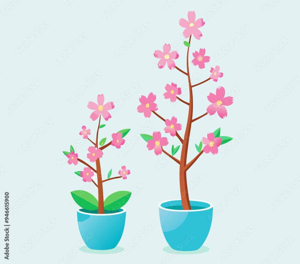 Obraz premium Sakura seedling and tree with flowers in a pot stock illustration