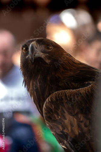 Aguila entrenada