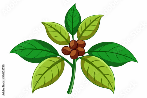 Coffee plants clipart, isolated vector illustration.
