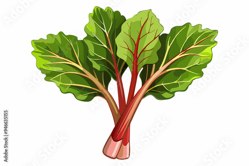 Rhubarb stalk, watercolor clipart illustration with isolated background.
