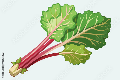 Rhubarb stalk, watercolor clipart illustration with isolated background.
