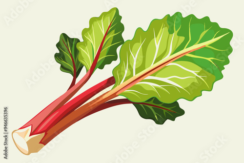Rhubarb stalk, watercolor clipart illustration with isolated background.
