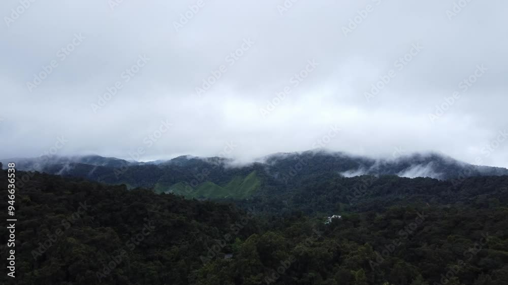 Slow pan zoom of aerial drone shot across the cool misty green valleys of Cameron Highlands, Malaysia during the early morning. Slow pan zoom of aerial drone shot across the cool misty green valleys of Cameron Highlands, Malaysia during the early morning.