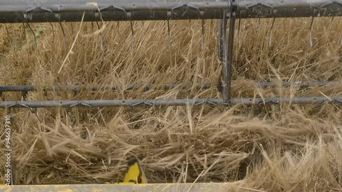 Combine harvester reel rotating and harvesting barley field photo