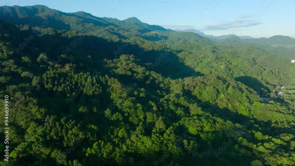 Mawudu forest with dense vegetation, tropical plants and idyllic flora in Taiwan. Sunny day with blue sky in the morning. Slow forward wide shot. Mawudu forest with dense vegetation, tropical plants and idyllic flora in Taiwan. Sunny day with blue sky in the morning. Slow forward wide shot.