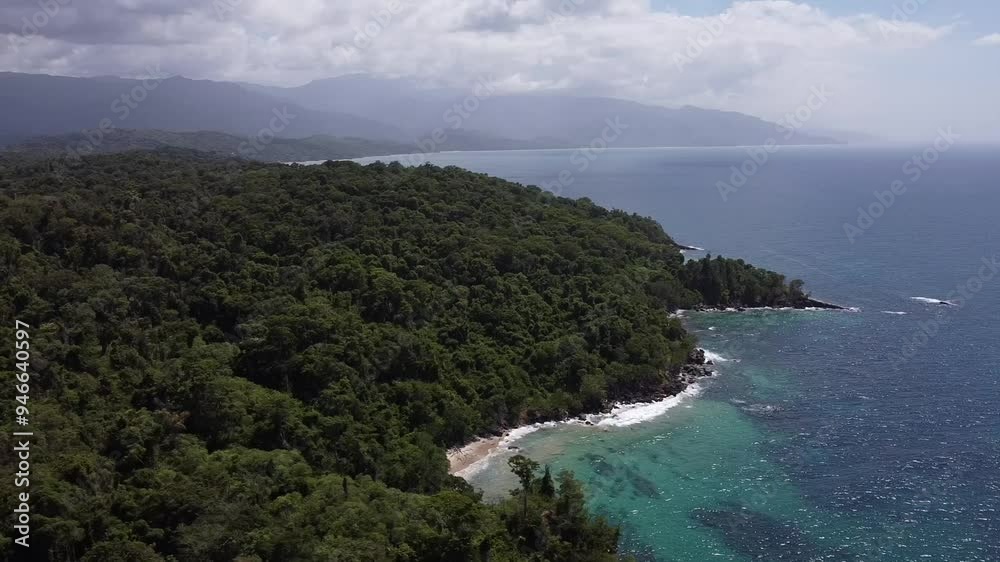Orbiting aerial of a forest meeting the Caribbean Sea. Orbiting aerial of a forest meeting the Caribbean Sea.