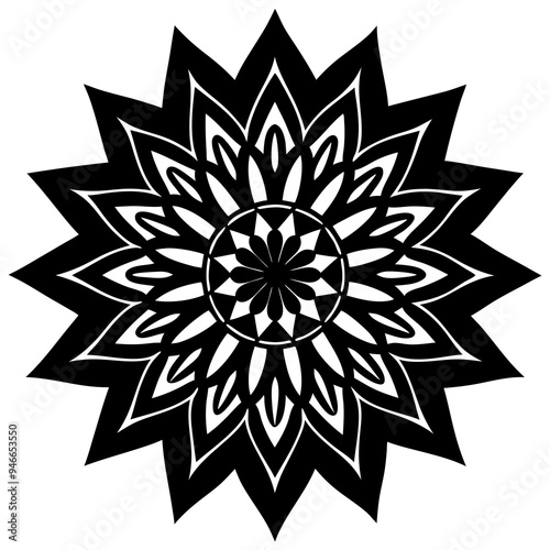 mandala design vector illustration