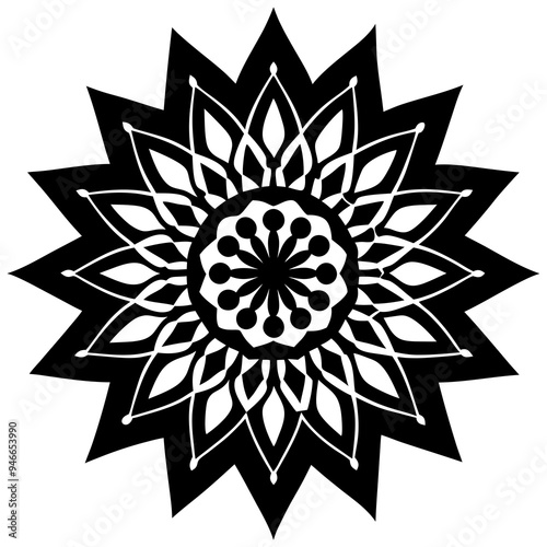 mandala design vector illustration