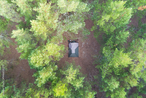 One tent stands in a pine forest in summer, this is a view from a drone. photo