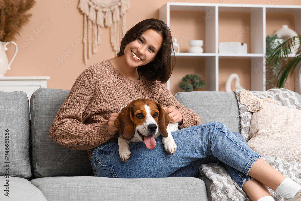 Young woman with cute Beagle dog on comfortable sofa at home