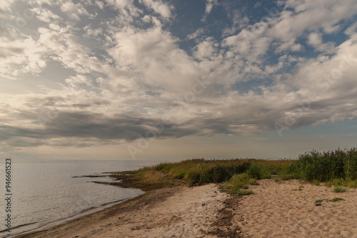 Fototapeta Naklejka Na Ścianę i Meble -  Overgrown baltic sea beach in Limbazi district, Latvia at summer