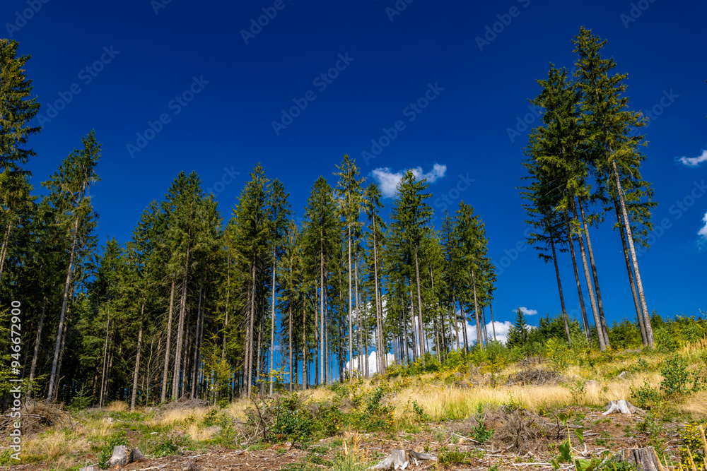 Asphalt road in the mountains, bicycle path, Beskid Śląski Asphalt road in the mountains, bicycle path, Beskid Śląski
