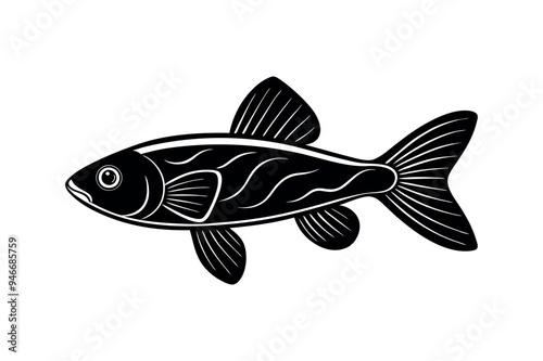 fish silhouette illustration Design on a white background