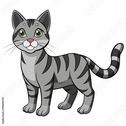 Asian Tabby cat vector illustration isolated on white background in cartoon style.