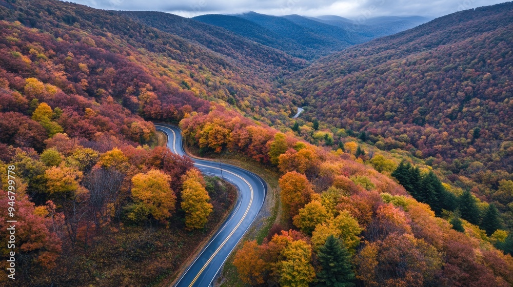 Fototapeta premium Winding Road Through Autumnal Forest in Mountain Valley