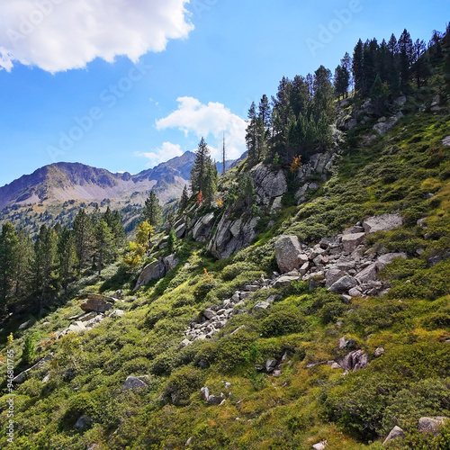 Flanc de hautes montagnes