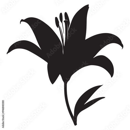 black Lilie flower silhoutte images with white background