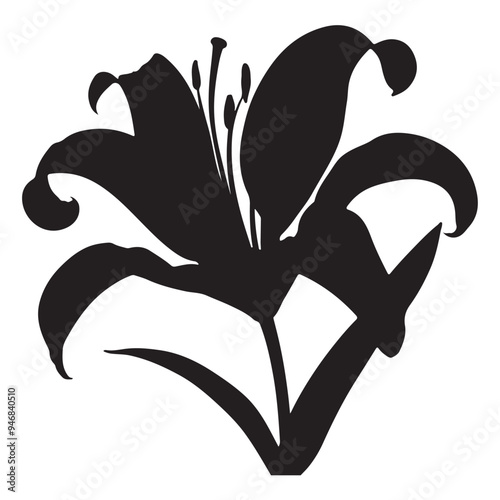 black Lilie flower silhoutte images with white background