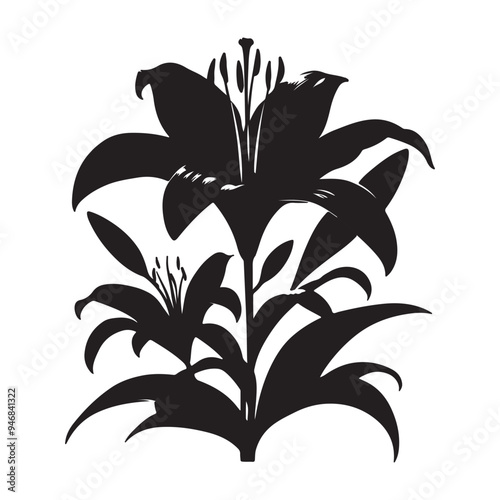 black Lilie flower silhoutte images with white background
