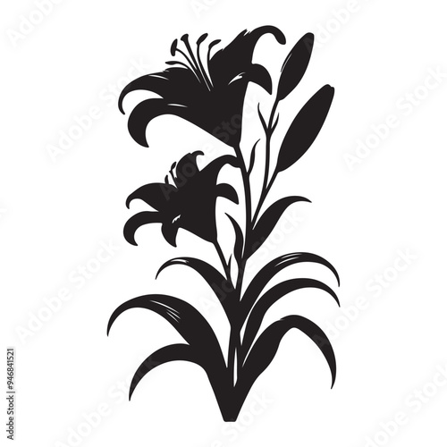 black Lilie flower silhoutte images with white background