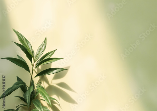 SImple minimalist leaf of indoor plant on a yellow background, high resolution 