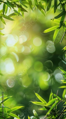 Serene bamboo leaves against blurred green nature background for tranquil, zen, and eco-themed designs
