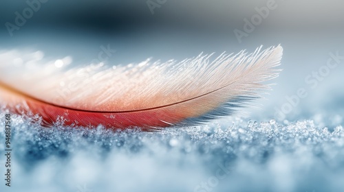 A pristine feather rests gently on the icy surface, creating a serene and tranquil scene in the daylight, capturing the soft textures and subtle hues of nature. photo