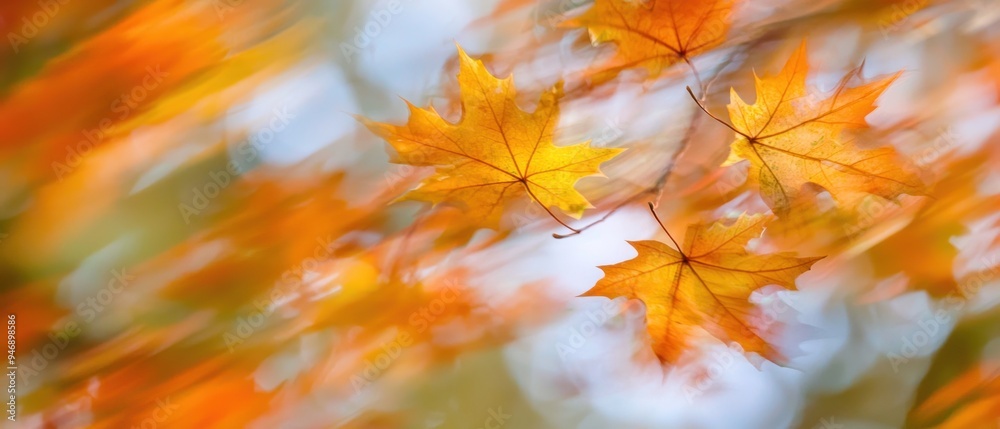 Golden Autumn Leaves with Blurred Background Golden Autumn Leaves with Blurred Background
