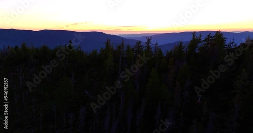 Klamath Forest Trees Backlit Aerial Drone photo