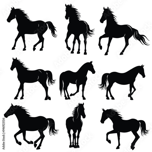 Silhouettes of various horses in different poses, highlighting their grace and strength.