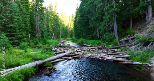 Aerial Cinematic Forest River Flowing Water