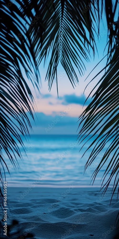 Fototapeta premium Beautiful beach background framed by palm trees at twilght