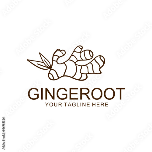 ginger logo design vectot